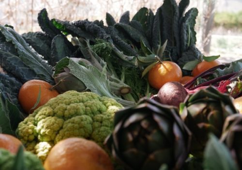 villa-costanza-alternativa